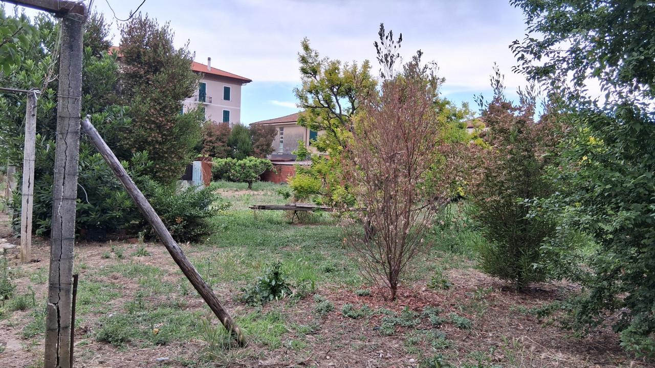 immagine annuncio 12 di 14