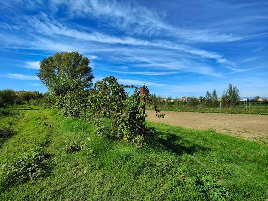 immagine annuncio 11 di 13