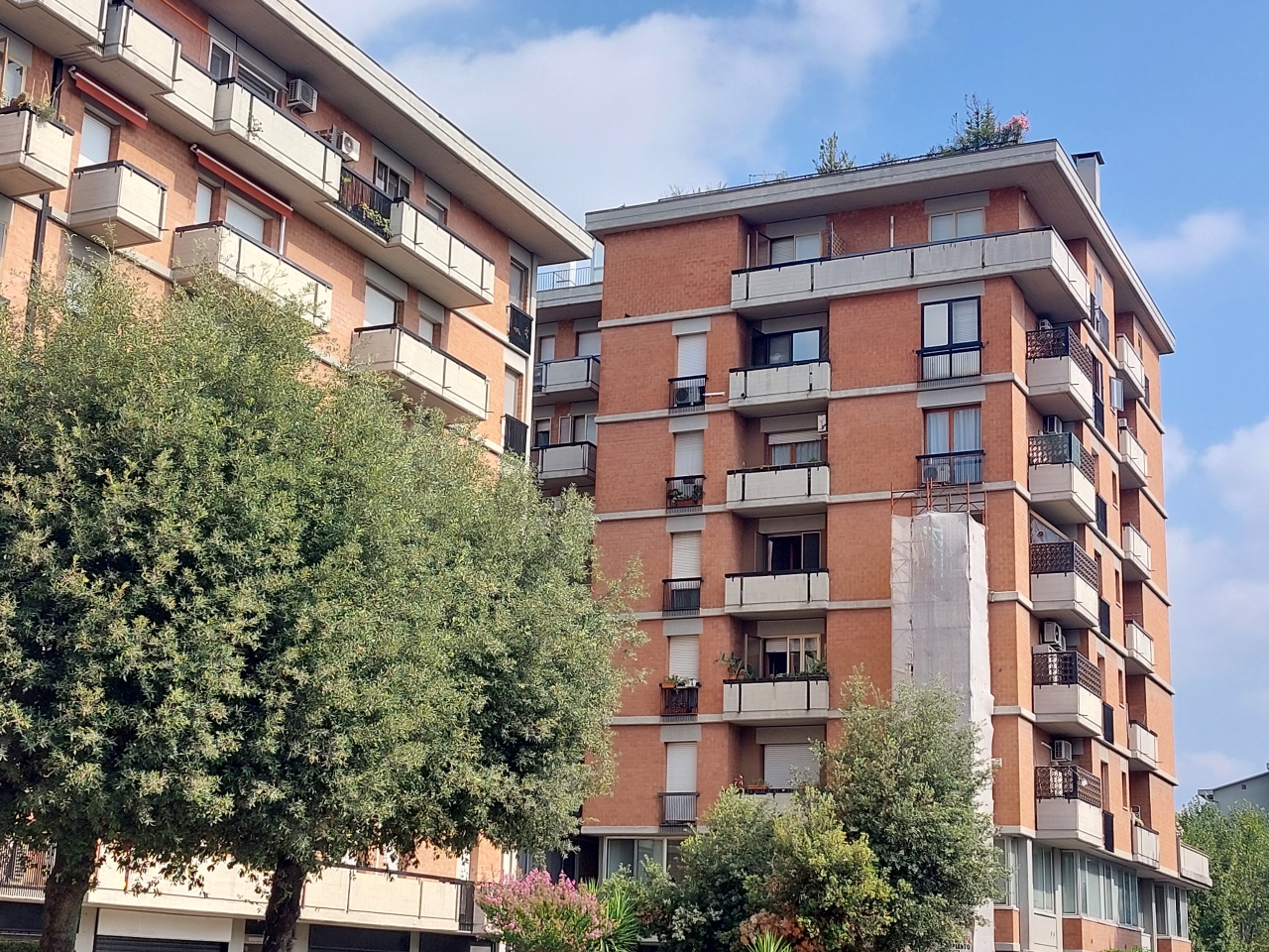 immagine annuncio 3 di 7