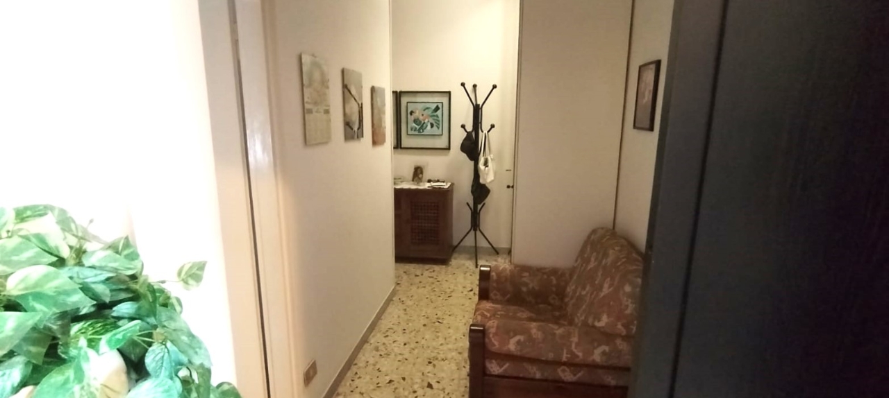 immagine annuncio 7 di 12
