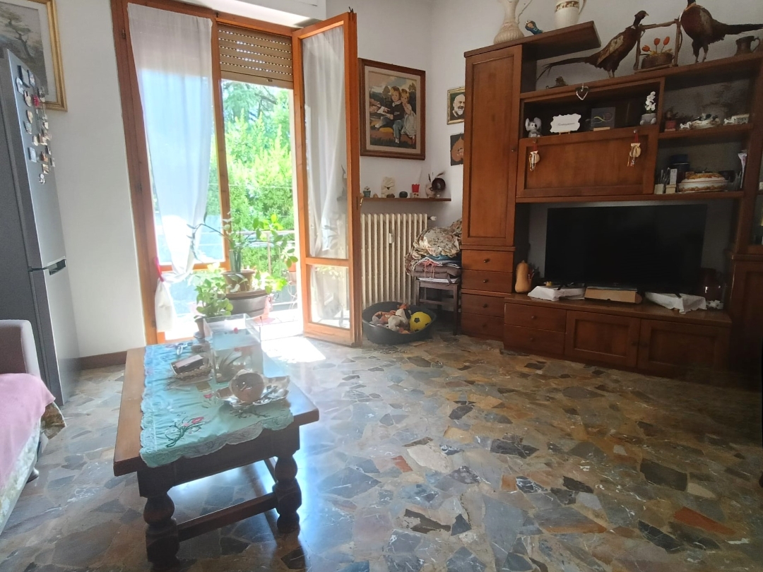 immagine annuncio 6 di 13