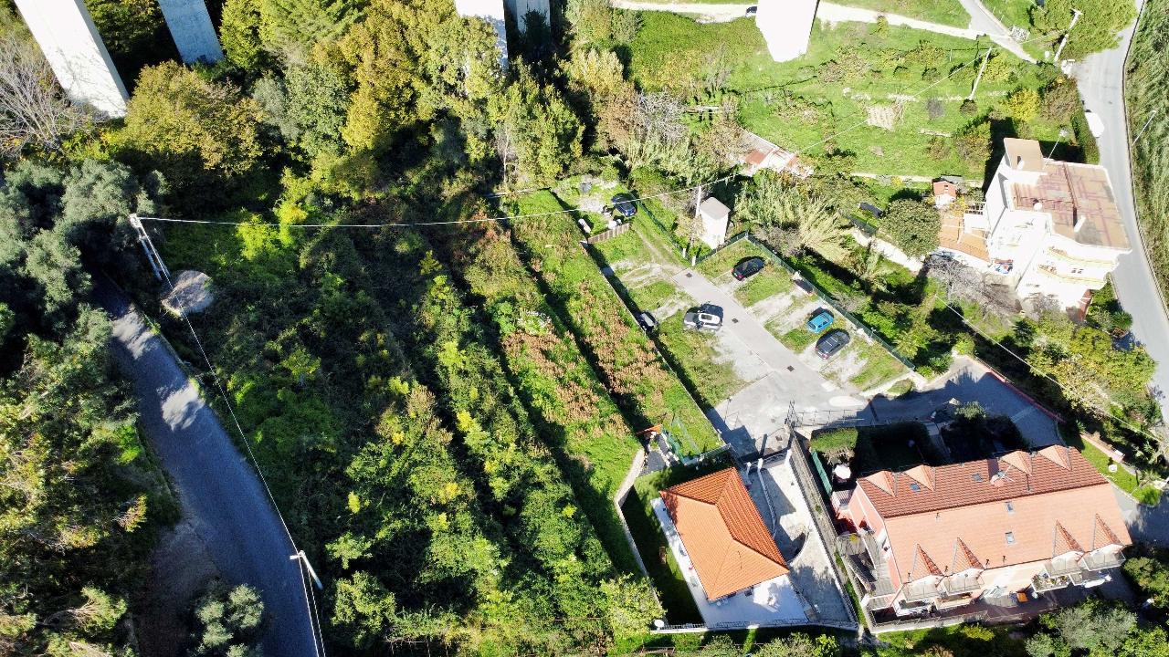 immagine annuncio 11 di 14