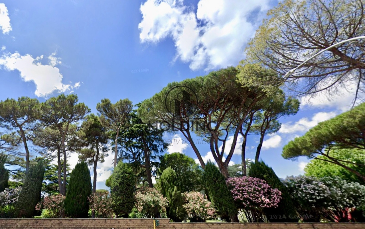 immagine annuncio 5 di 8