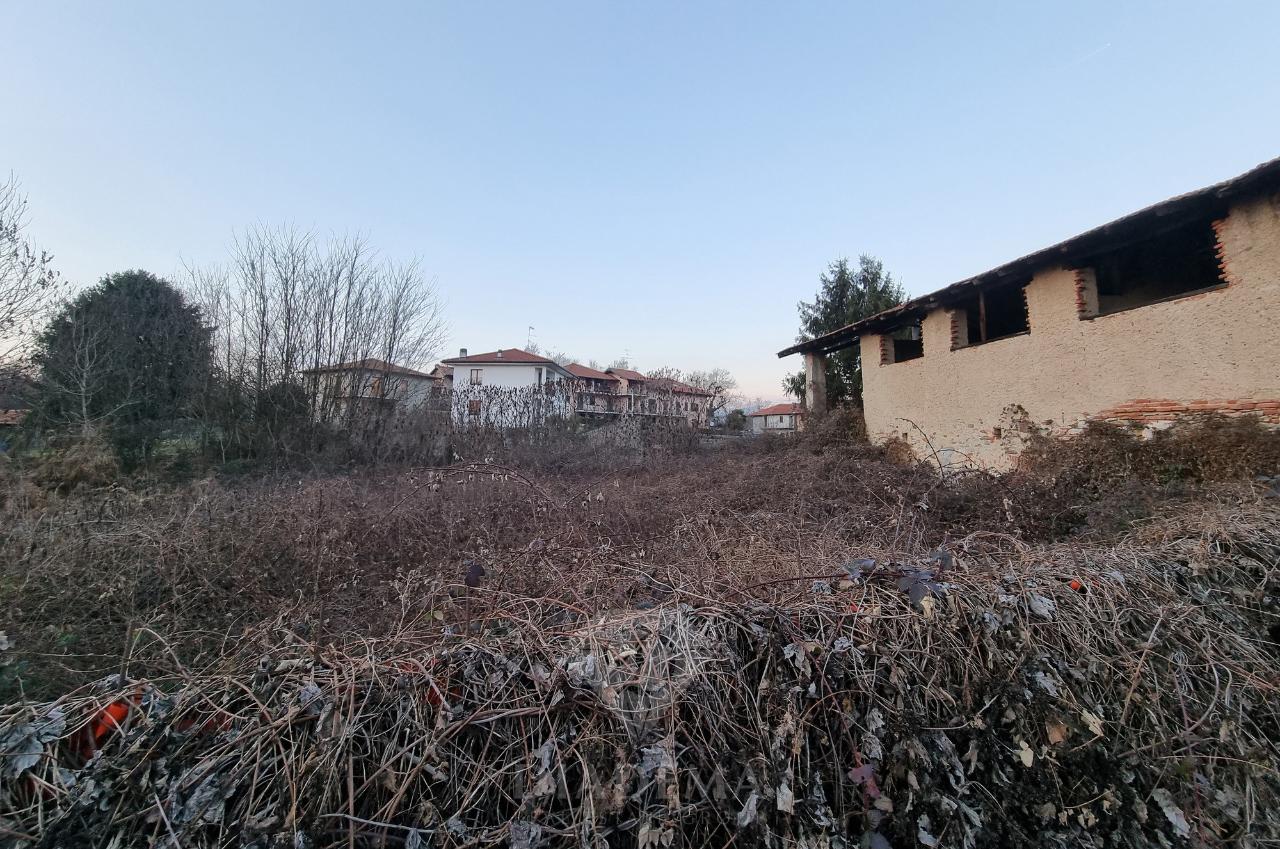 immagine annuncio 1 di 12