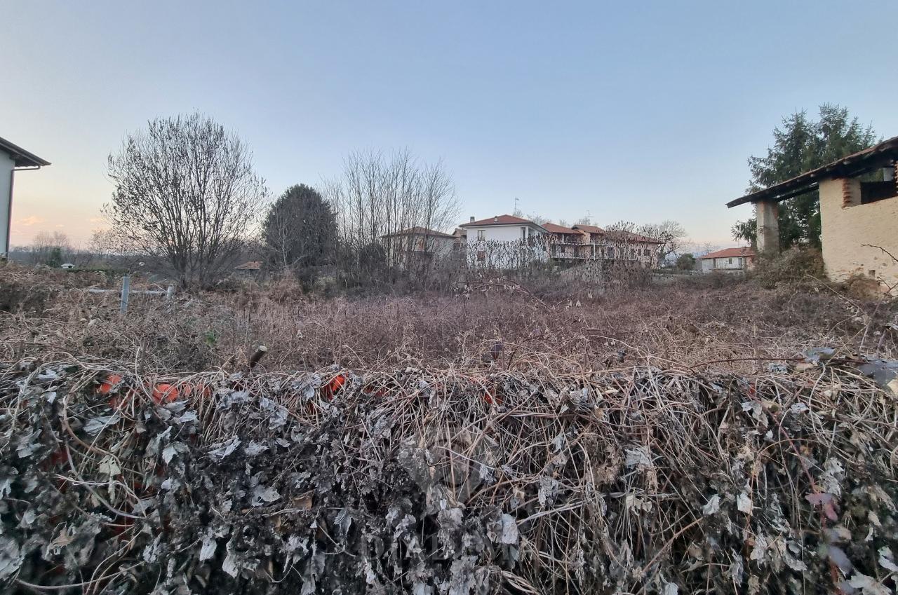 immagine annuncio 3 di 12