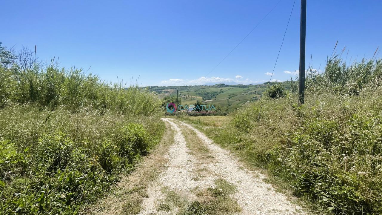 immagine annuncio 11 di 13