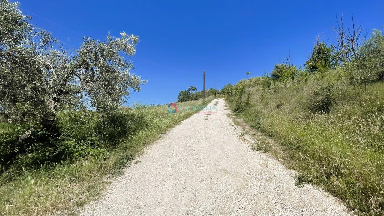 immagine annuncio 12 di 13