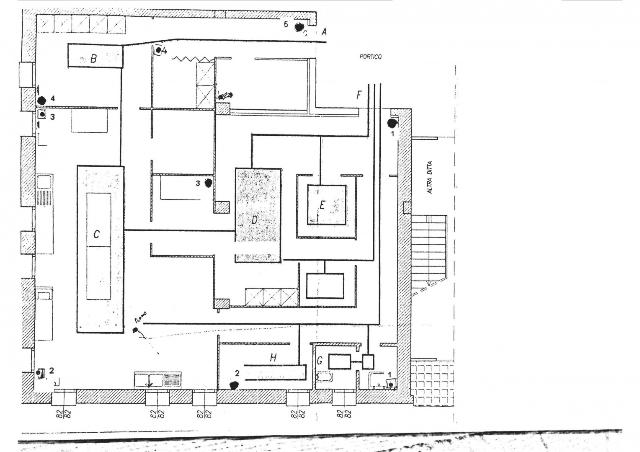 insertion image