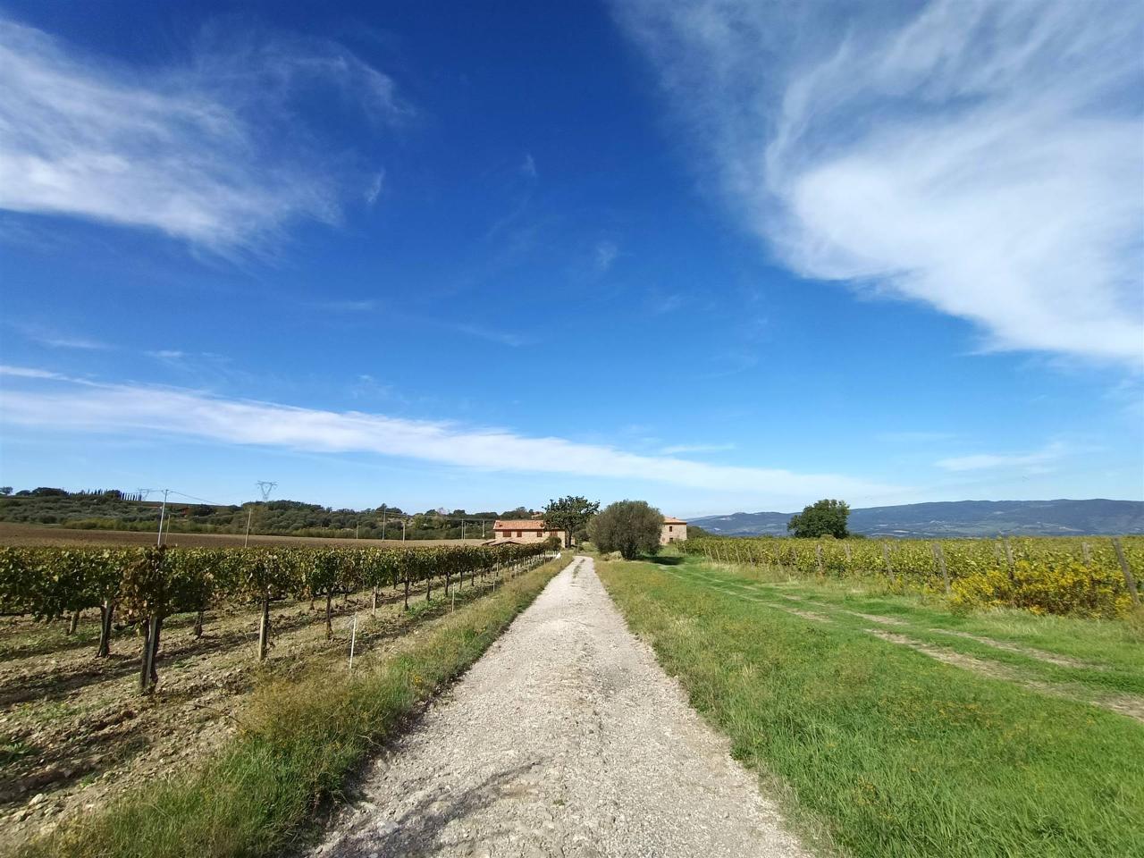 Azienda agricola in , Castel Del Piano, {3} - Foto 1