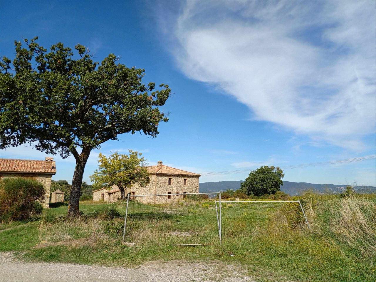 Azienda agricola in , Castel Del Piano, {3} - Foto 2