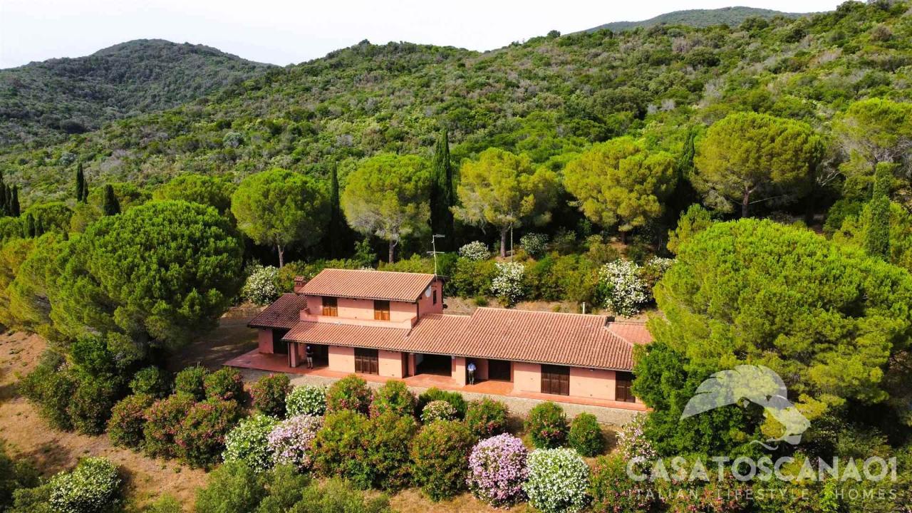 Azienda agricola in , Castiglione Della Pescaia, {3} - Foto 2