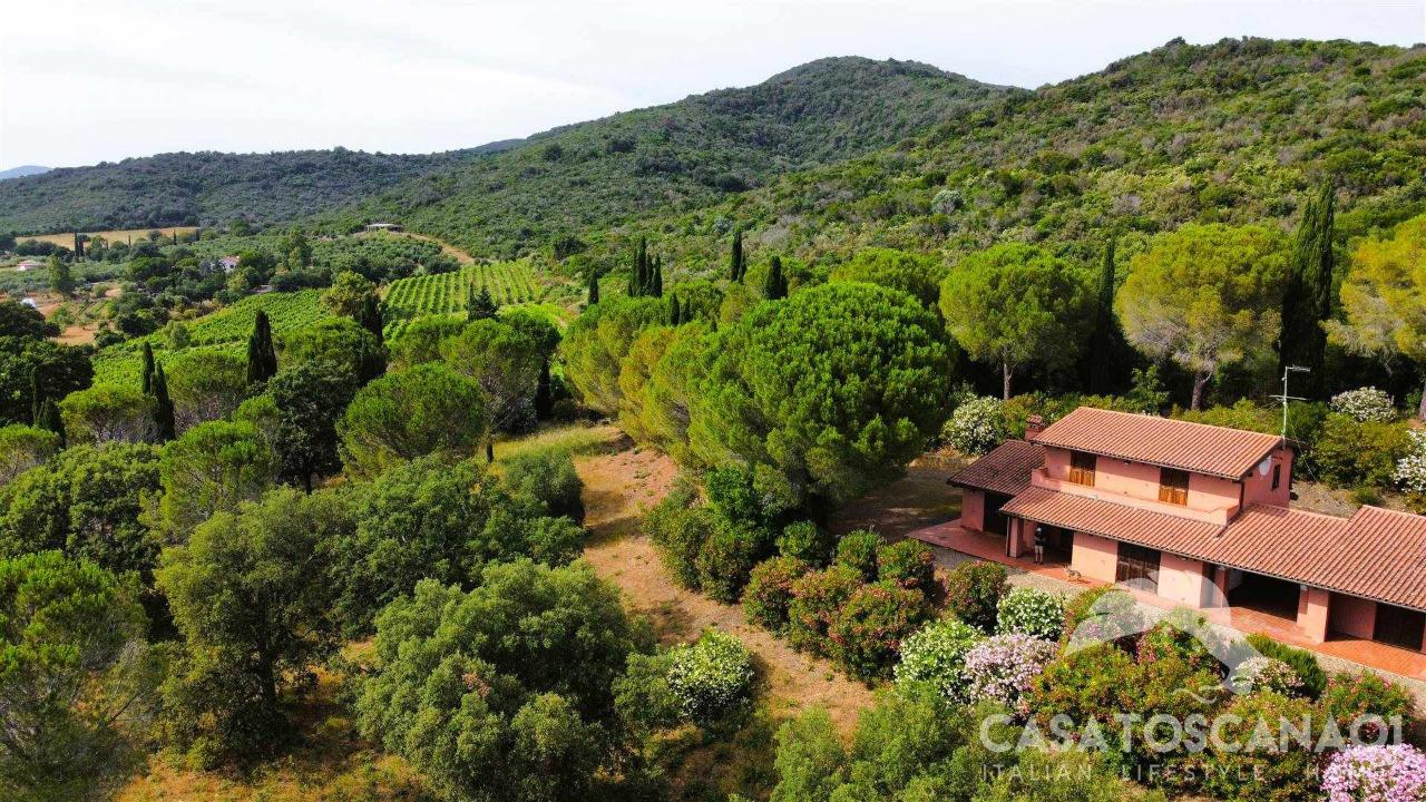 Azienda agricola in , Castiglione Della Pescaia, {3} - Foto 1