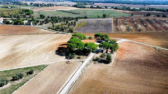 Country house or cottage, Roccastrada - Photo 1