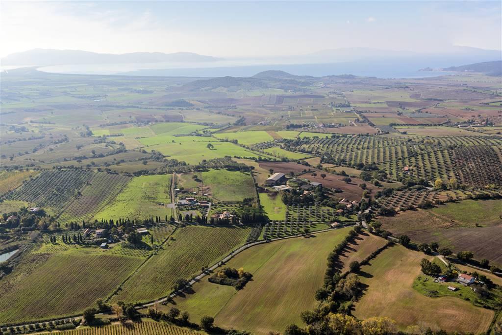 Azienda agricola in , Orbetello, {3} - Foto 2
