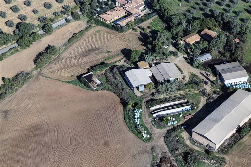 Azienda agricola in , Orbetello, {3} - Foto 1