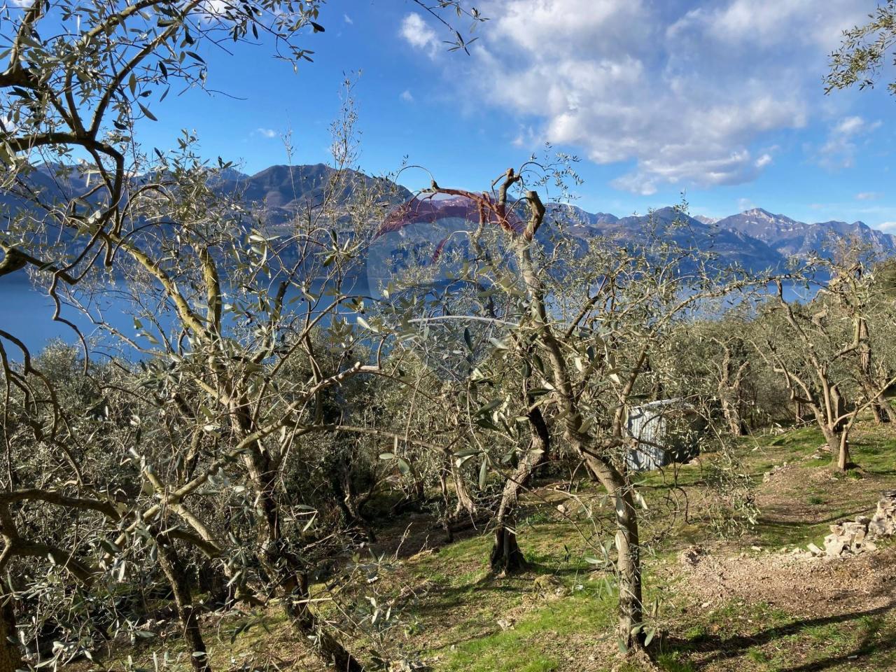 immagine annuncio 6 di 12