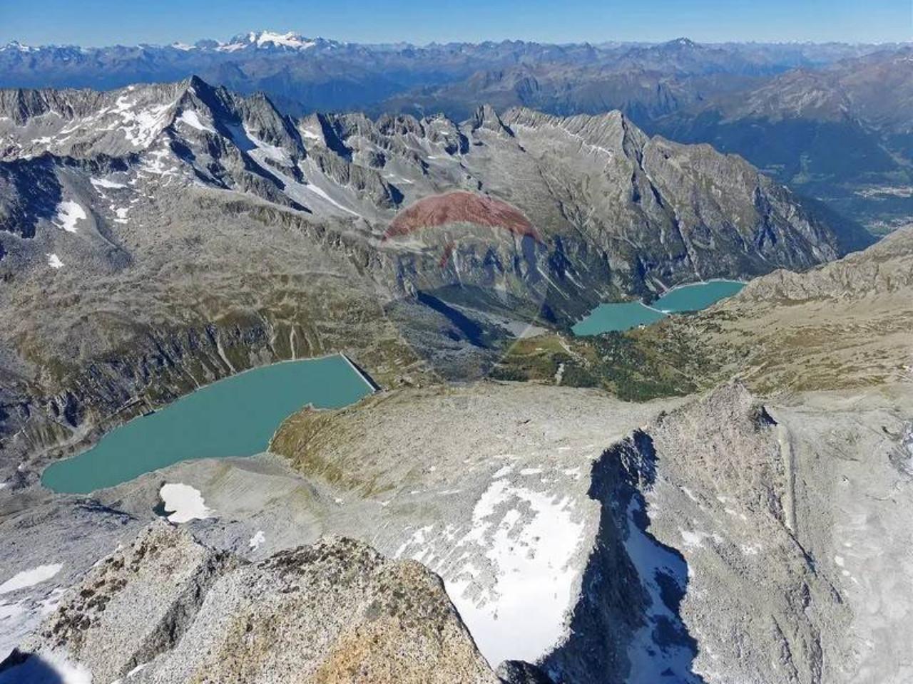 immagine annuncio 5 di 8