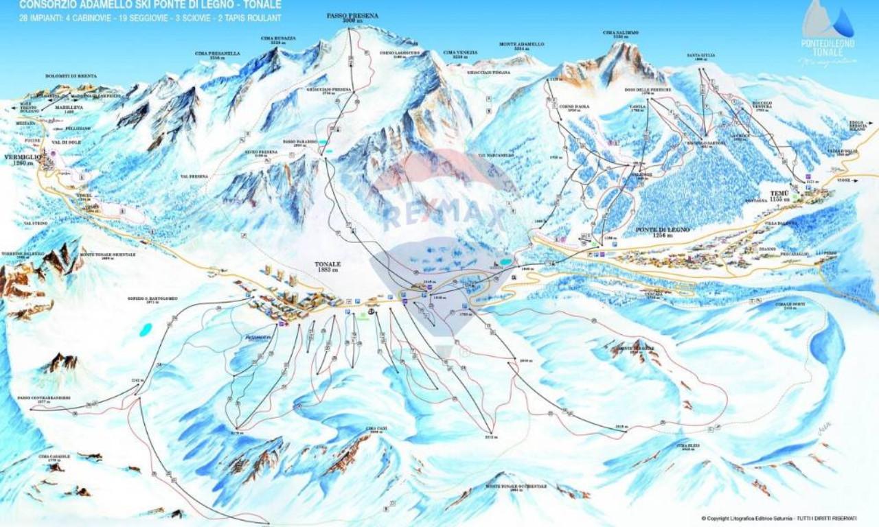 immagine annuncio 7 di 8