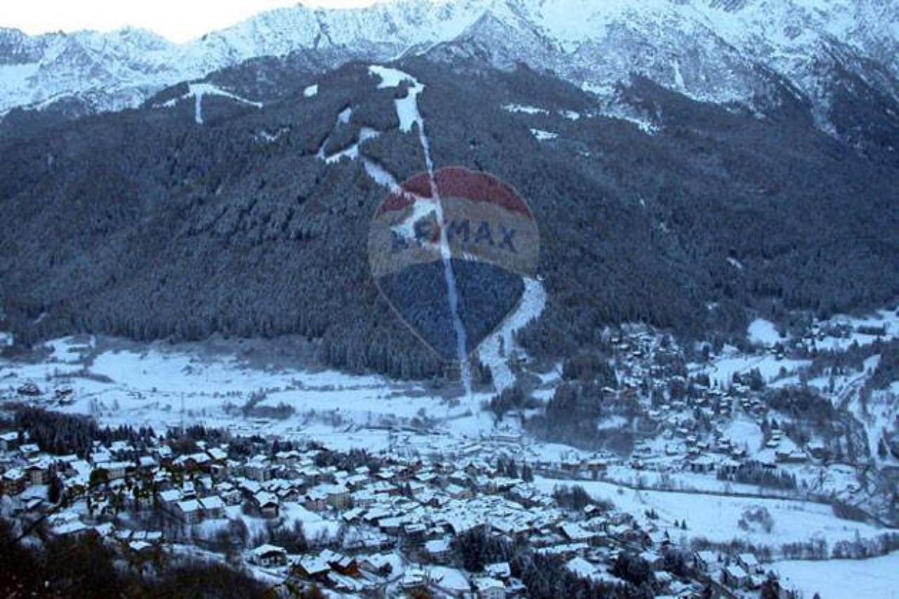 immagine annuncio 1 di 8