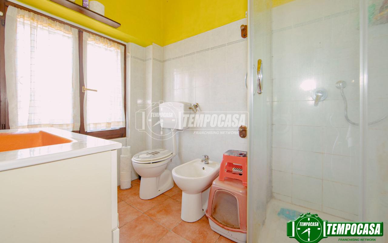 immagine annuncio 4 di 14