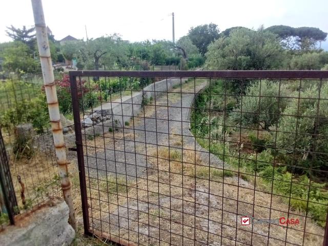 Agricultural land, Messina - Photo 1