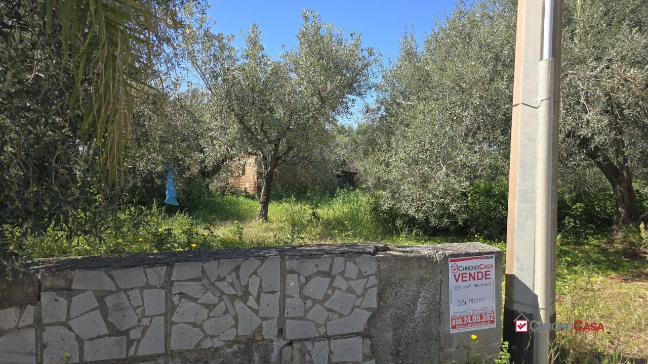 immagine annuncio 9 di 14