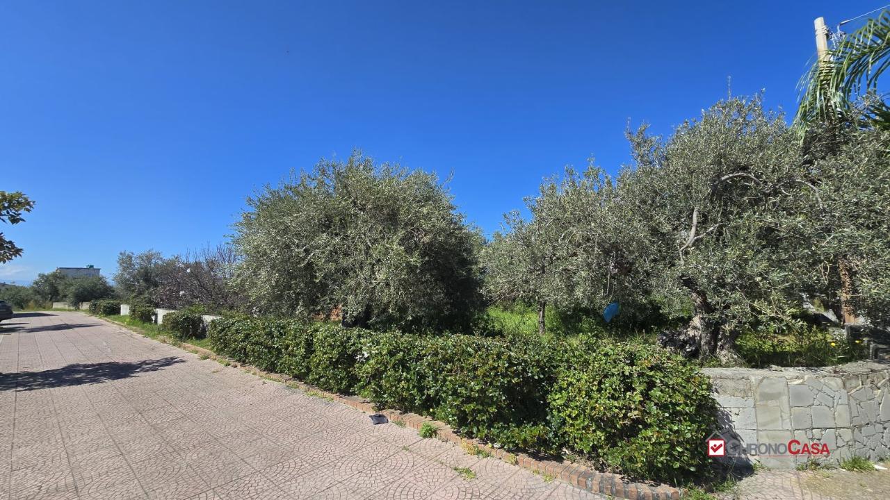 immagine annuncio 1 di 14