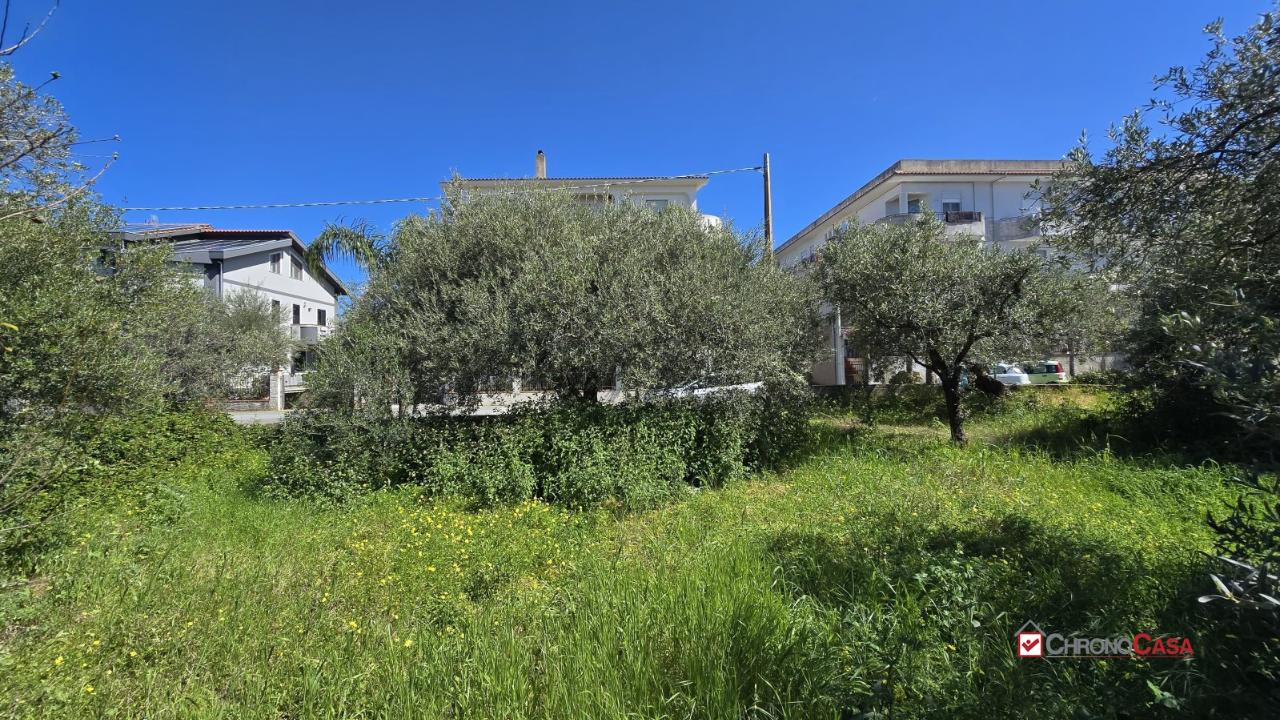 immagine annuncio 6 di 14