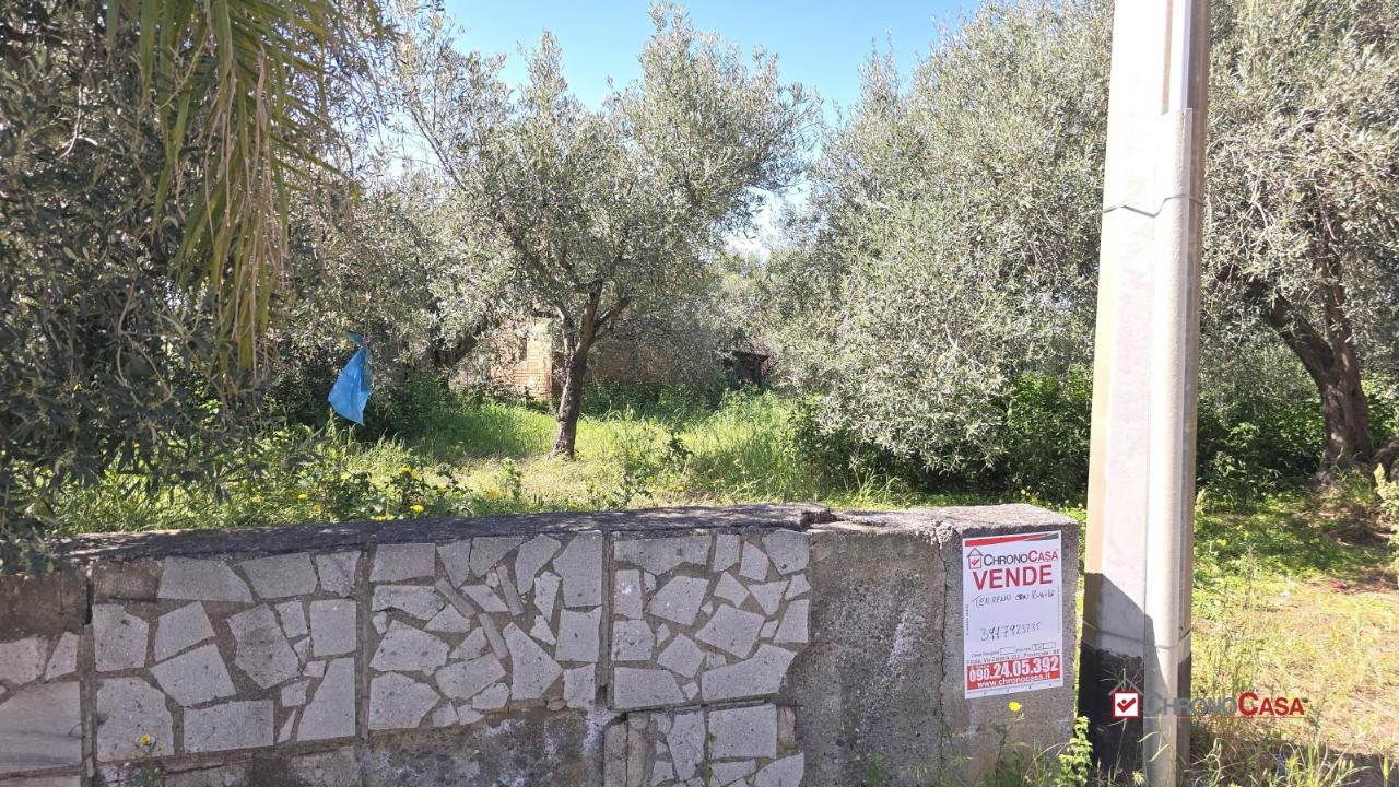 immagine annuncio 12 di 14