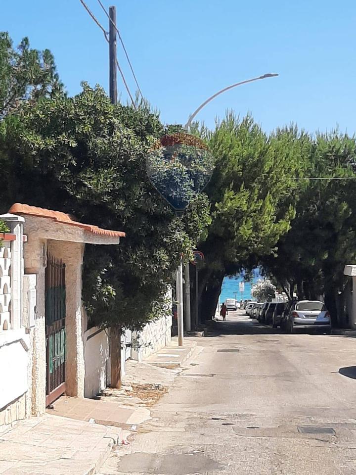 immagine annuncio 3 di 12