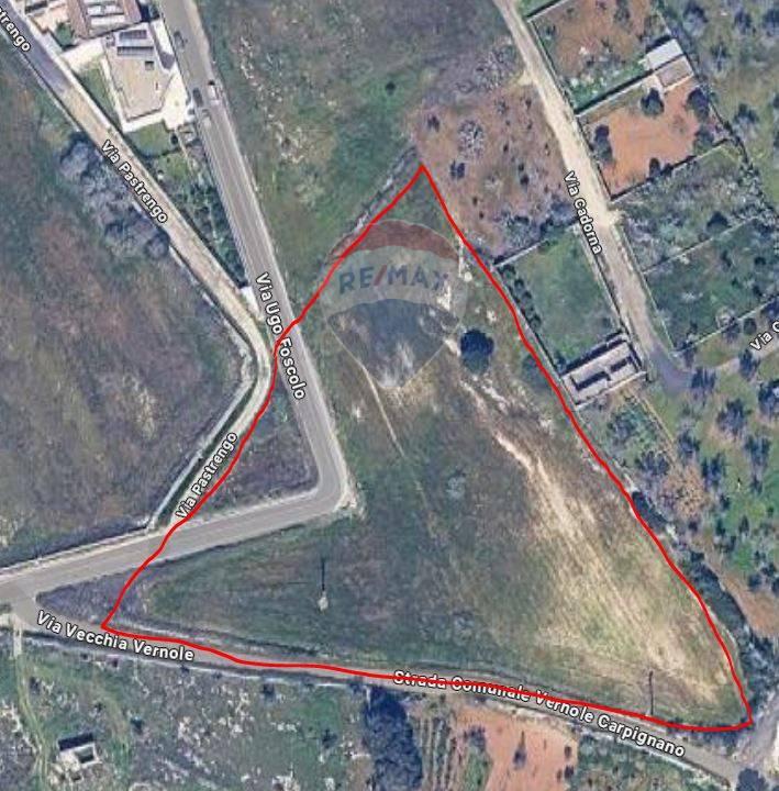 immagine annuncio 6 di 7