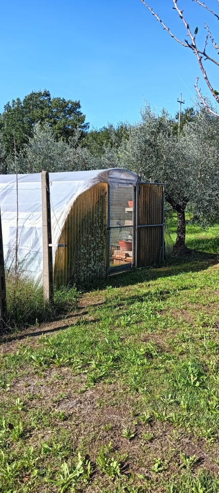 immagine annuncio 3 di 7