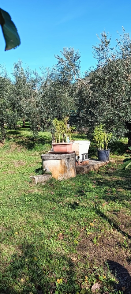 immagine annuncio 6 di 7