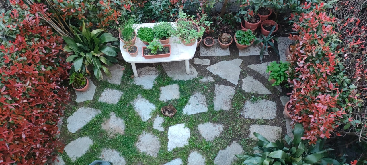 immagine annuncio 11 di 15