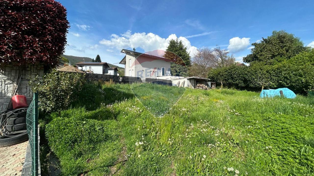 immagine annuncio 6 di 7