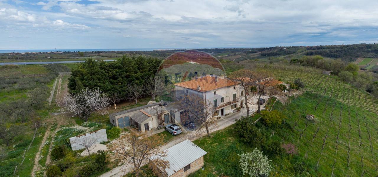 Azienda agricola in Contrada Colle Alto 19, Frisa - Foto 1