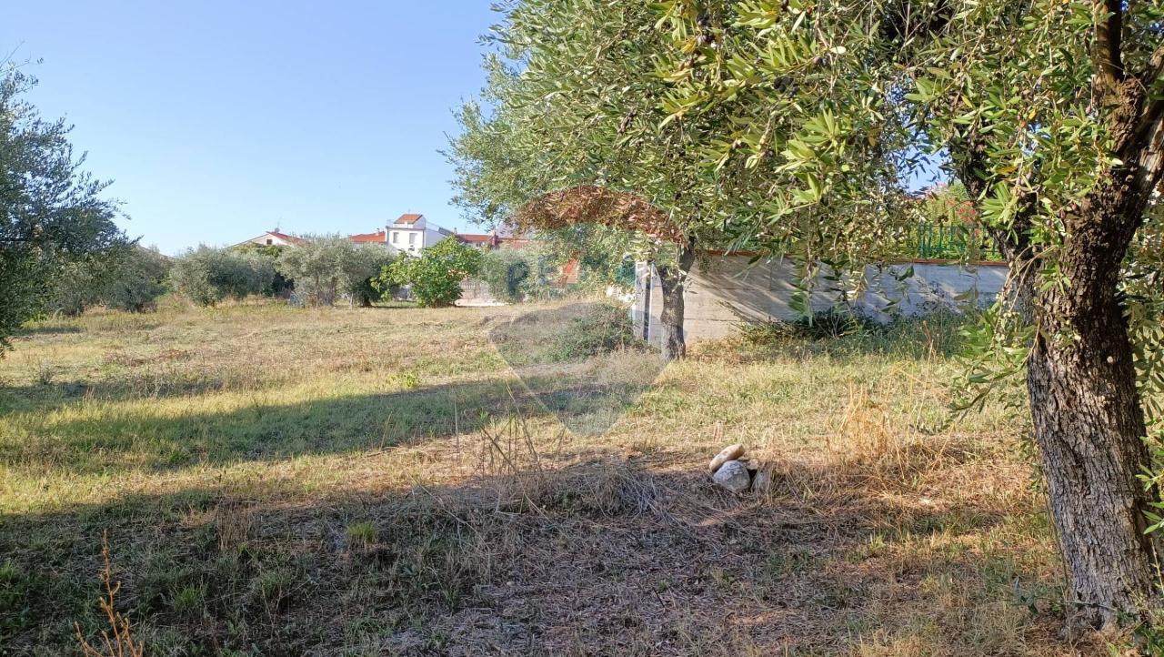 immagine annuncio 10 di 12