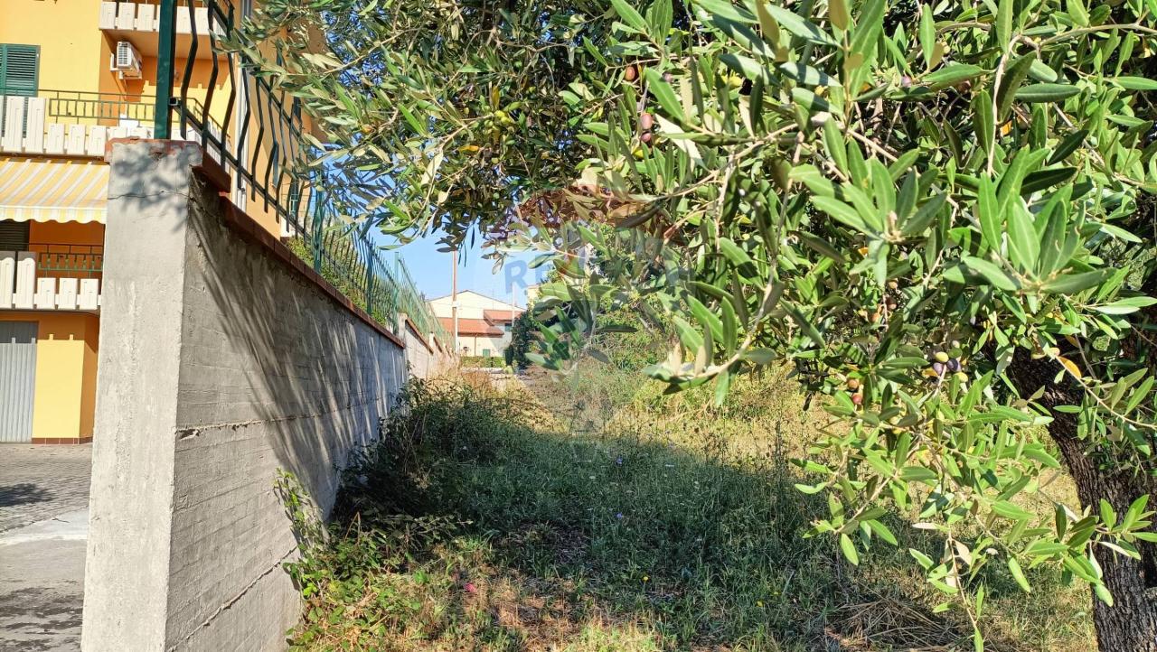 immagine annuncio 6 di 12