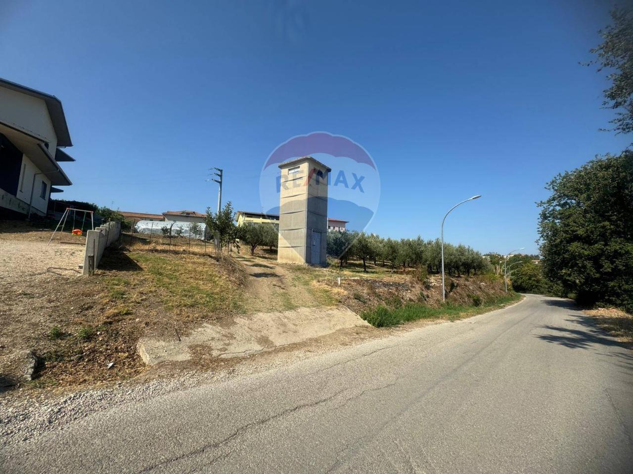 immagine annuncio 5 di 8