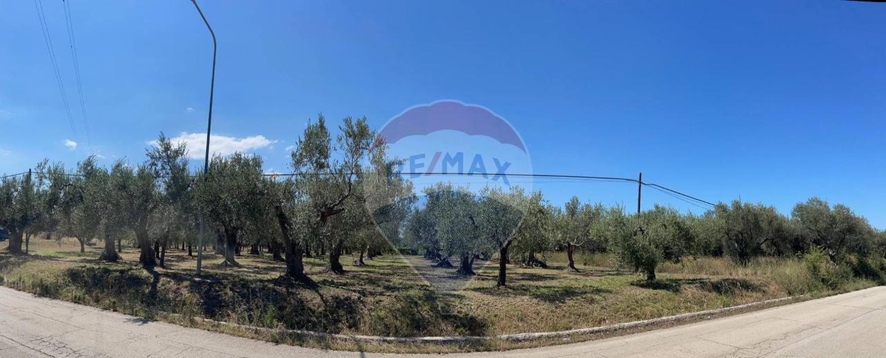 immagine annuncio 4 di 6