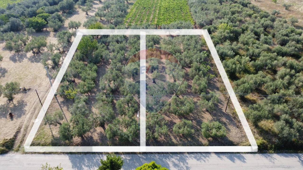 immagine annuncio 5 di 6