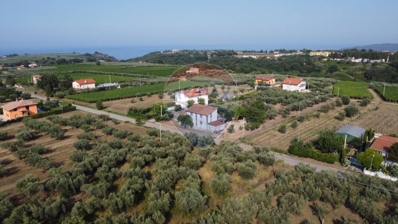 immagine annuncio 2 di 6