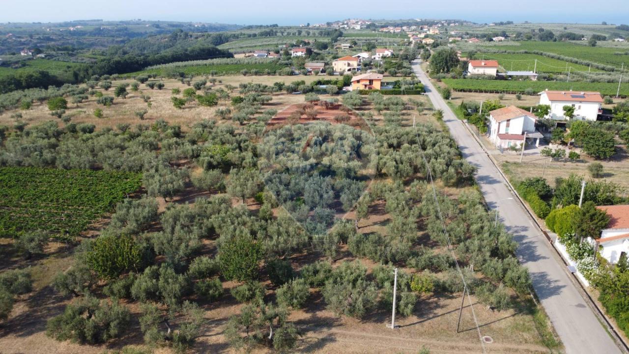 immagine annuncio 3 di 6