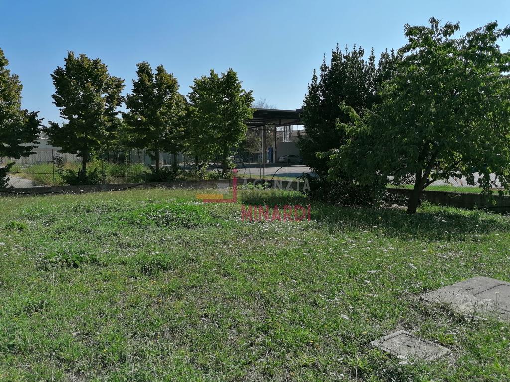 immagine annuncio 6 di 11