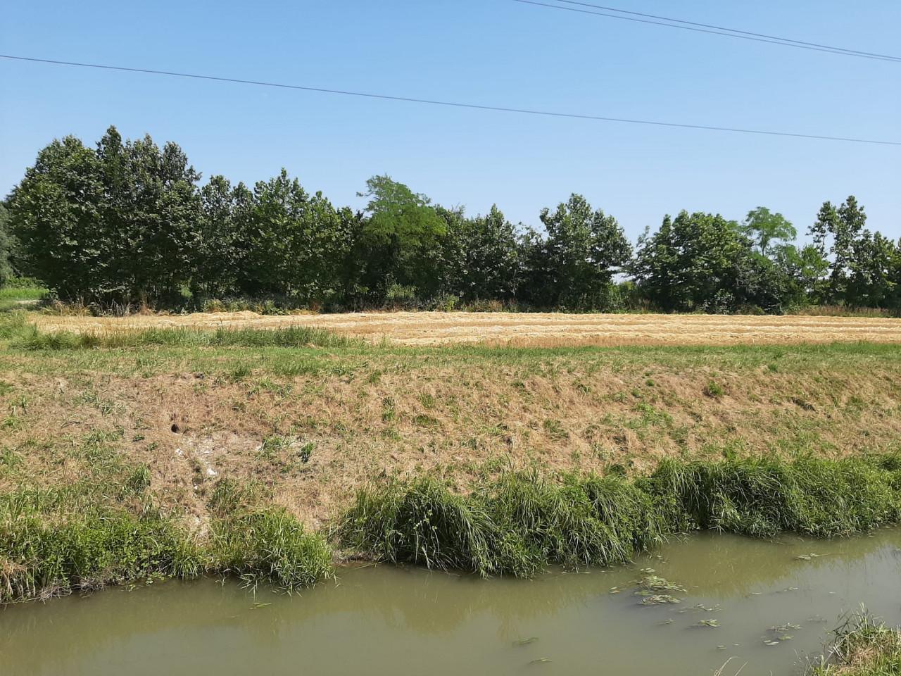 Terreno agricolo in vendita a Mirano