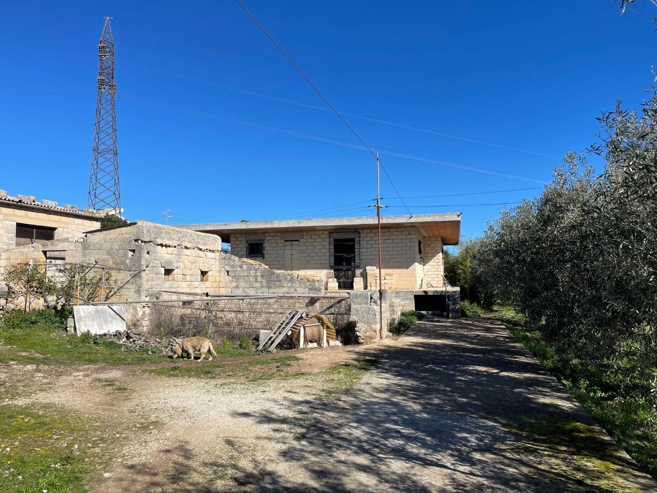 immagine annuncio 7 di 8