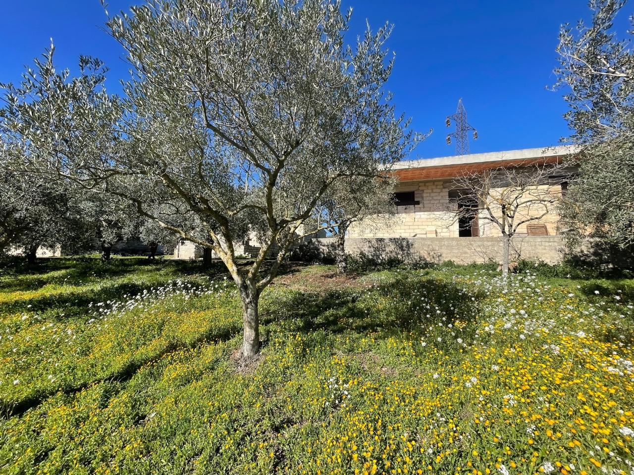 immagine annuncio 1 di 8