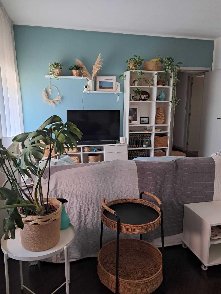 immagine annuncio 10 di 14