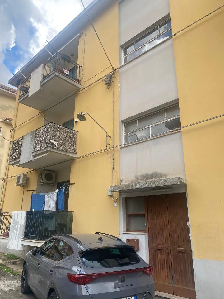 immagine annuncio 7 di 8