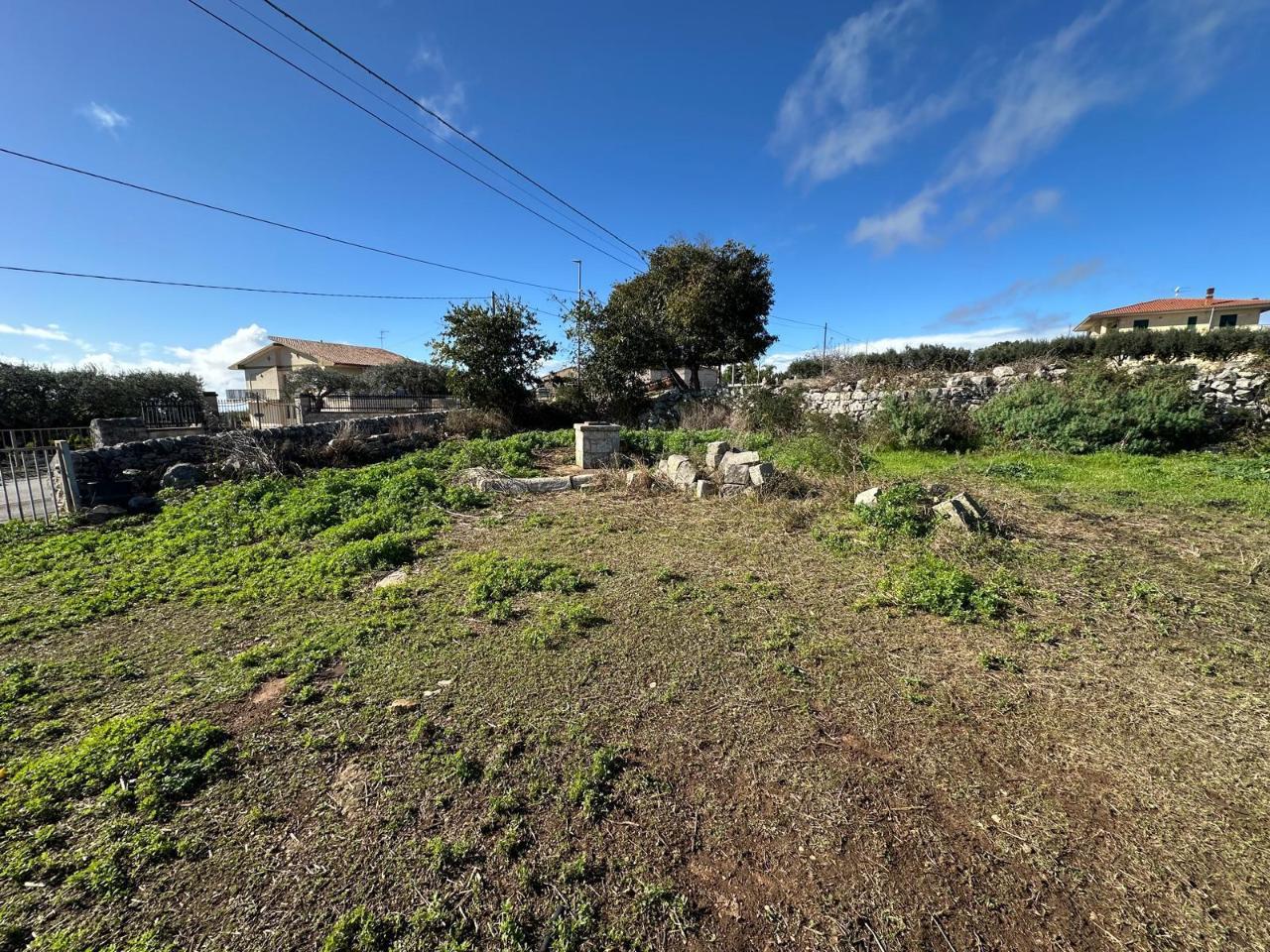 immagine annuncio 5 di 8